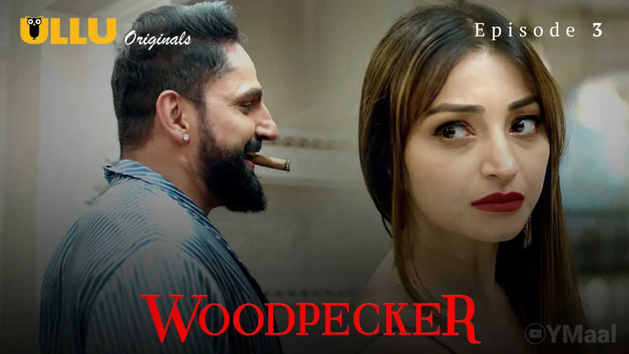 Watch Woodpecker Episode 3 Web Series