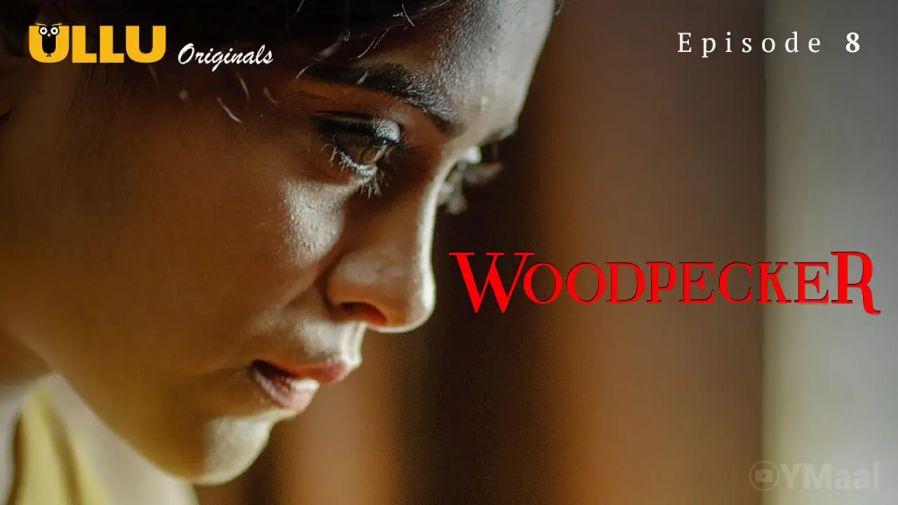 Watch Woodpecker Episode 8 Web Series